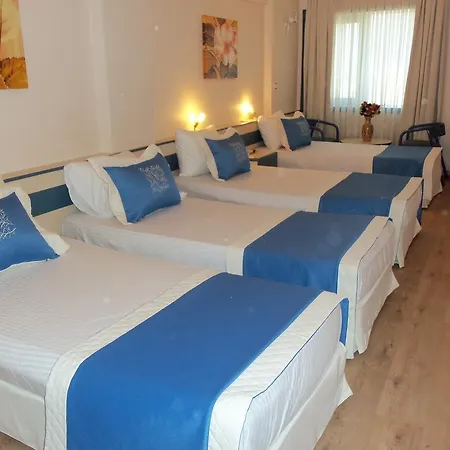 Baylan Yenisehir Hotel 2*