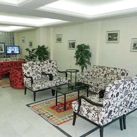 Baylan Yenisehir Hotel 2*