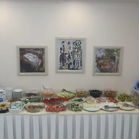 Hotel Baylan Yenisehir 2*