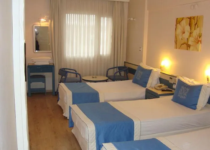Hotel Baylan Yenisehir 2*