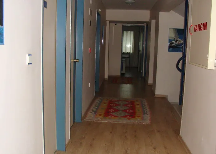 Baylan Yenisehir Hotel 2*