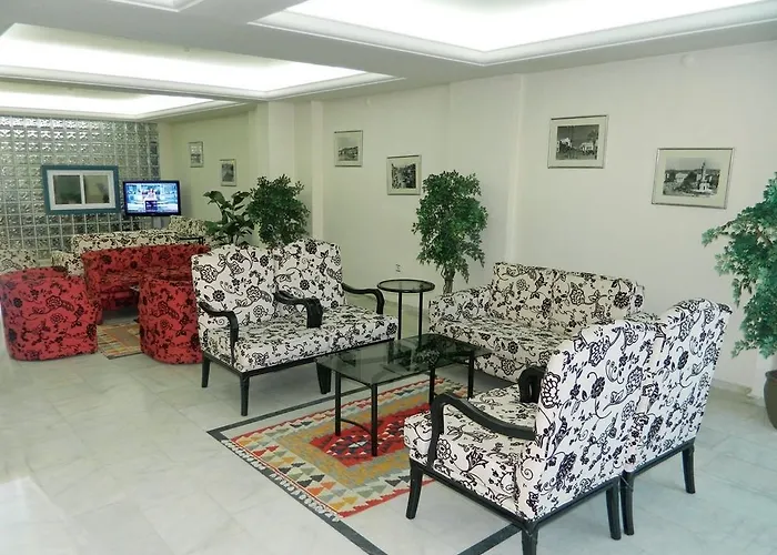 Baylan Yenisehir Hotel 2*