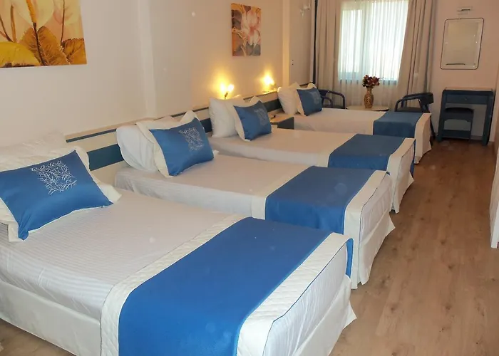 Baylan Yenisehir Hotel 2*